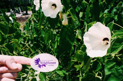 Processed with VSCO with c1 preset