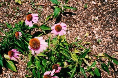 Processed with VSCO with c1 preset