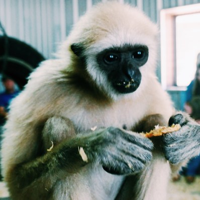 Processed with VSCO with c1 preset