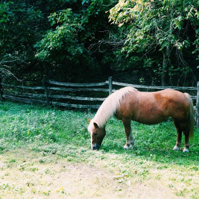 Processed with VSCO with c1 preset