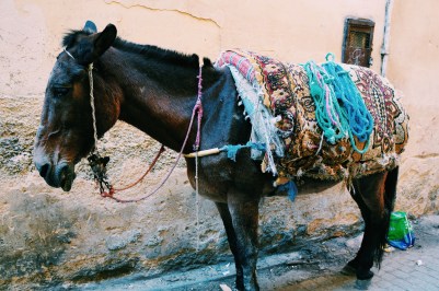 Processed with VSCO with c1 preset