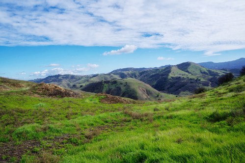 photo-jan-21-03-29-16