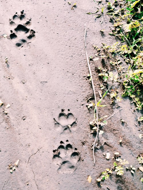 Processed with VSCO with c1 preset