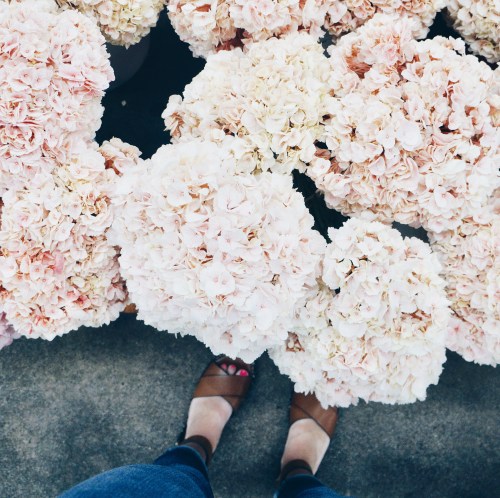 Processed with VSCO with hb1 preset