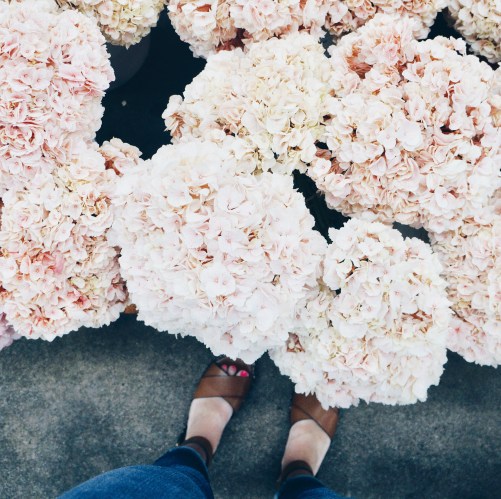 Processed with VSCO with hb1 preset