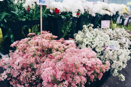 Processed with VSCO with hb1 preset