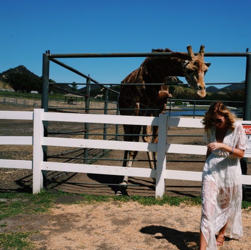 Processed with VSCO with c1 preset