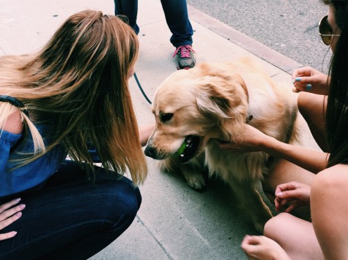 Processed with VSCO with c1 preset