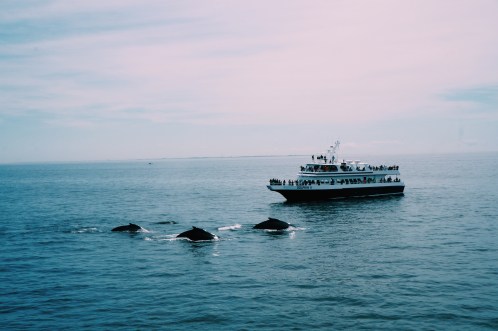 Processed with VSCO with c1 preset