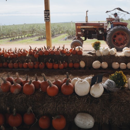 Processed with VSCO with a6 preset