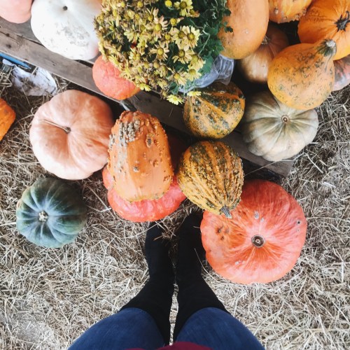 Processed with VSCO with a6 preset