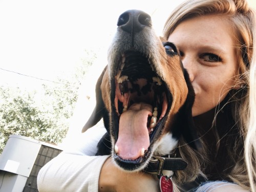 Processed with VSCO with a6 preset