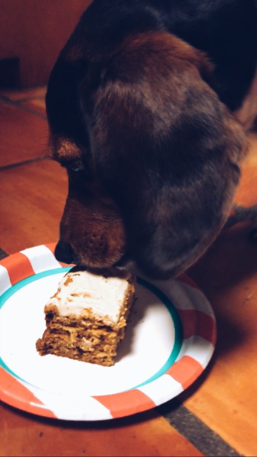 Processed with VSCO with a5 preset