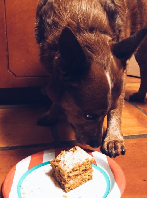 Processed with VSCO with a5 preset