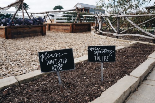 Processed with VSCO with a6 preset