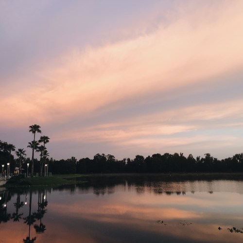 Processed with VSCO with a6 preset