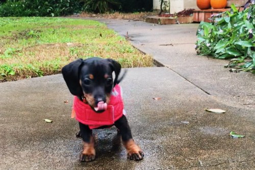 Processed with VSCO with s2 preset