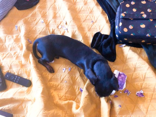 Photo Feb 02, 08 28 38