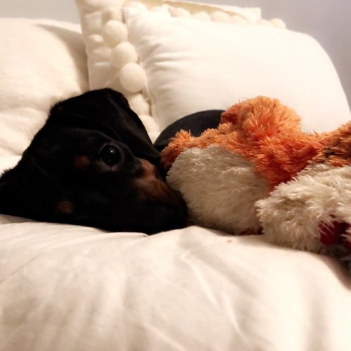 Photo Feb 27, 09 35 26