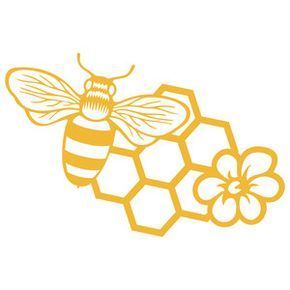 f76a6c709bb24b95432d4d18a1c90b7c